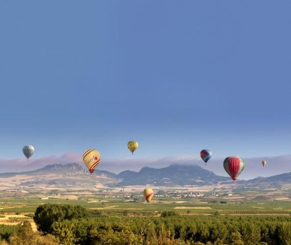 شقة Marques De La Rioja لوغرونيو المظهر الخارجي الصورة